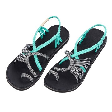 Explore Turquoise Zebra