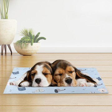 【瑪思特】寵物雲躲墊 寵物地墊 60x40cm 寵愛藍