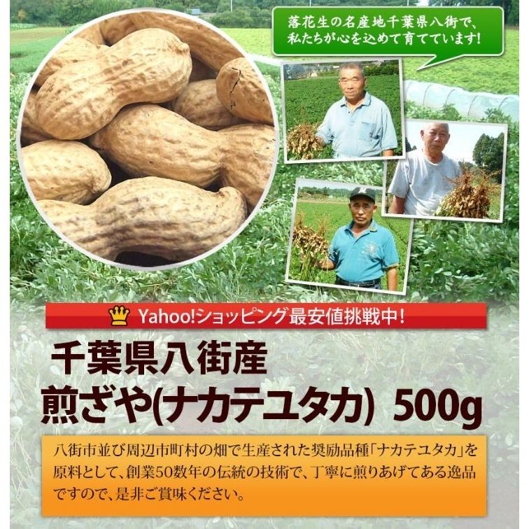 2023年度産 新豆 煎ざや(ナカテユタカ)500g 千葉県八街産落花生