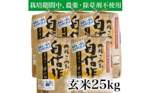 ＜新米・令和5年産＞玄米 農薬不使用(栽培期間中)  福岡県芦屋町産コシヒカリ 〈玄米〉25kg