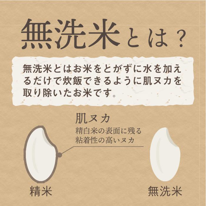 無洗米 新潟県産 コシヒカリ 特別栽培米 5kg 令和5年産 新米 こしひかり 5キロ 農家直送 減農薬