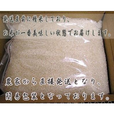 白米 10kg 送料無料 北海道産　ななつぼし　１０ｋｇ 別途送料が発生する地域あり