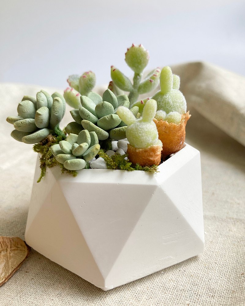 仿真黏土多肉植物擴香盆 熊童子 碧光環 石蓮花組盆款推薦 Pinkoi 設計購物網站 Line購物