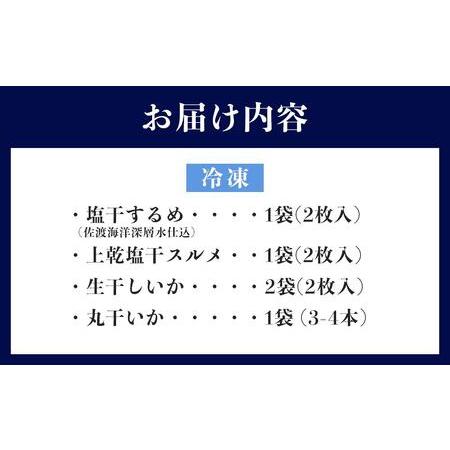 ふるさと納税 佐渡島いか専門店　いかづくしセット2 新潟県佐渡市