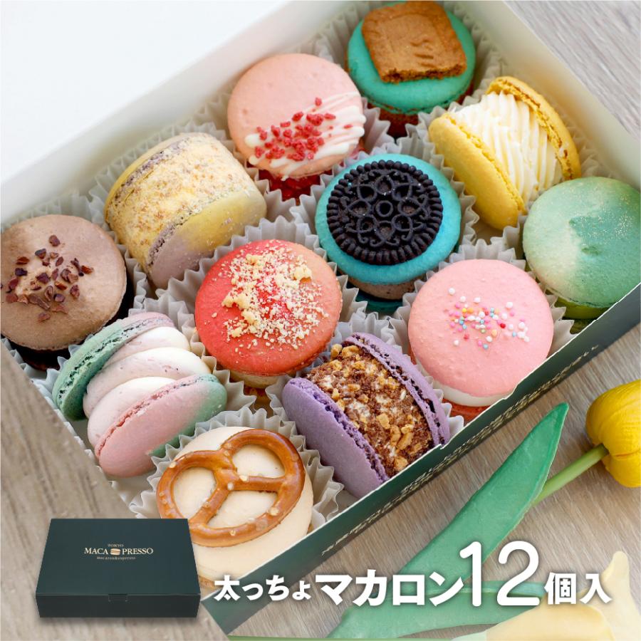 In Style Japan MACAPRESSO 太っちょマカロン オールスター 12個セット 