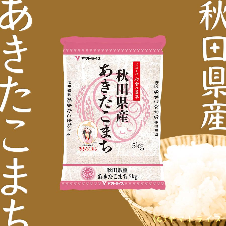 米 お米 あきたこまち 10kg 秋田県産 白米 5kg×2 令和5年産