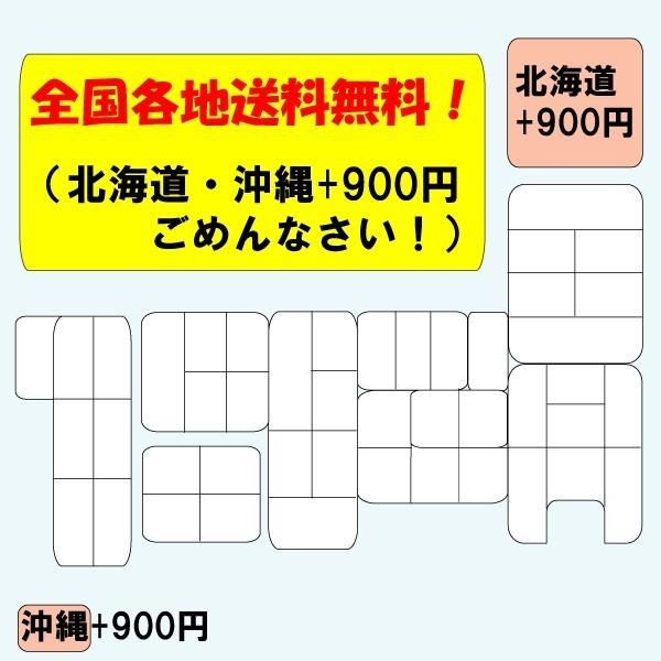 送料無料 半田そうめんセット 竹田製麺 B