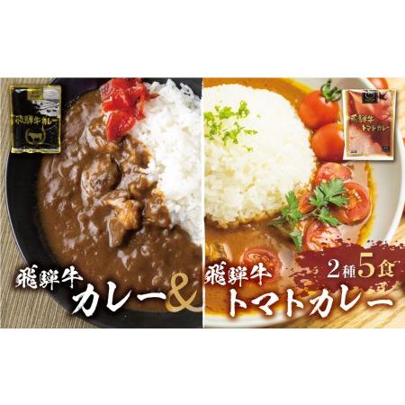 ふるさと納税 飛騨牛カレー (3袋) 飛騨牛トマトカレー (2袋)  計5食   訳あり 簡易包装 ビーフカレー 飛騨牛 トマト カレー  レトルトカレー  ふ.. 岐阜県高山市