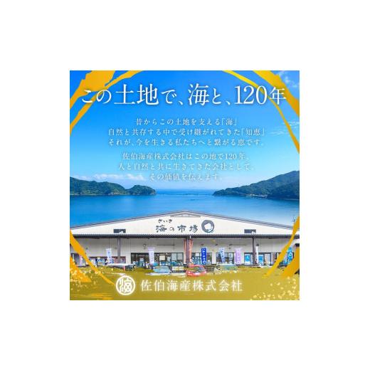 ふるさと納税 大分県 佐伯市 辛子明太子 ほうすい (500g) 国産 無着色 めんたい 明太 ごはん おかず お酒 おつまみ 惣菜 一品