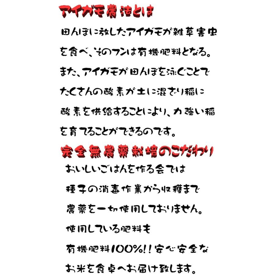 令和5年度産　新米　完全無農薬栽培　アイガモ農法米　つがるロマン 5kg 玄米　白米