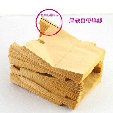 【防蟲套袋】桃子專用套袋水蜜桃冬桃蟠桃黃桃專用紙袋防鳥蟲水果專用果樹套袋00