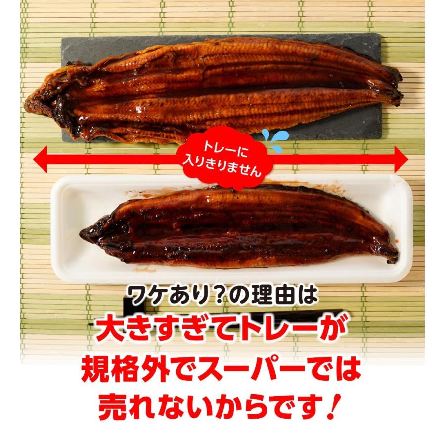 うなぎ長焼 380g〜400g×2本 炭火焼 訳あり 超ビッグサイズ 父の日 ウナギ 鰻 在宅 敬老 在宅応援 中元 お歳暮 化粧箱 ギフト うなぎ