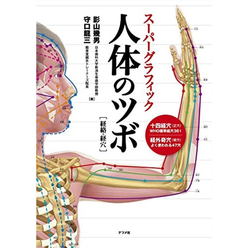 スーパーグラフィック 人体のツボ経絡・経穴