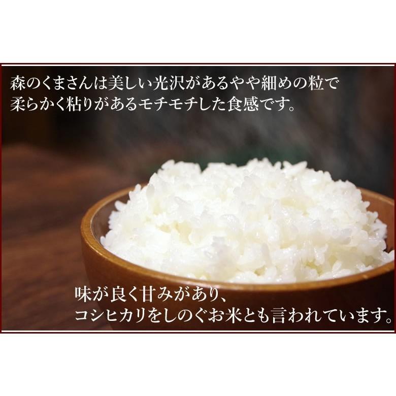 森のくまさん 米 送料無料 10kg 令和5年産 新米 熊本県産 白米 お米 こめ 新米 ひのひかり こしひかり