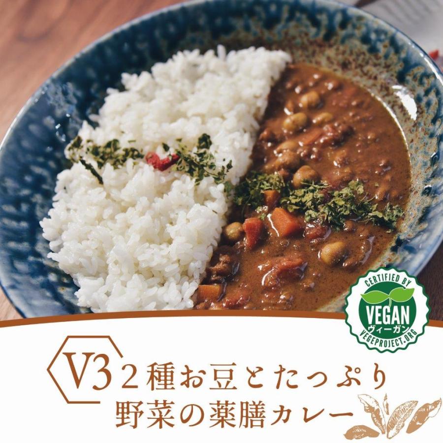 ２種お豆とたっぷり野菜の薬膳カレー［ヴィーガン ベジタリアン対応］