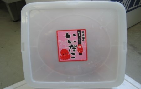 いいだこ 2kg セット (ボイル1kg・ピリ辛1kg) 冷凍 蛸 たこ タコ チビタコ 味付 魚介類