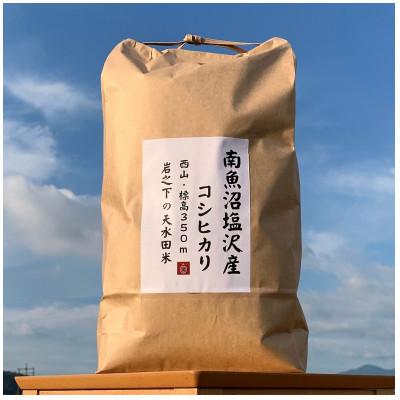 ふるさと納税 南魚沼市 塩沢コシヒカリ精米15kg(5kg×3)