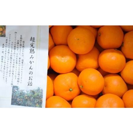 ふるさと納税 有田産樹上越冬完熟みかん5kg（2S〜Mサイズ混合・赤秀） 和歌山県すさみ町