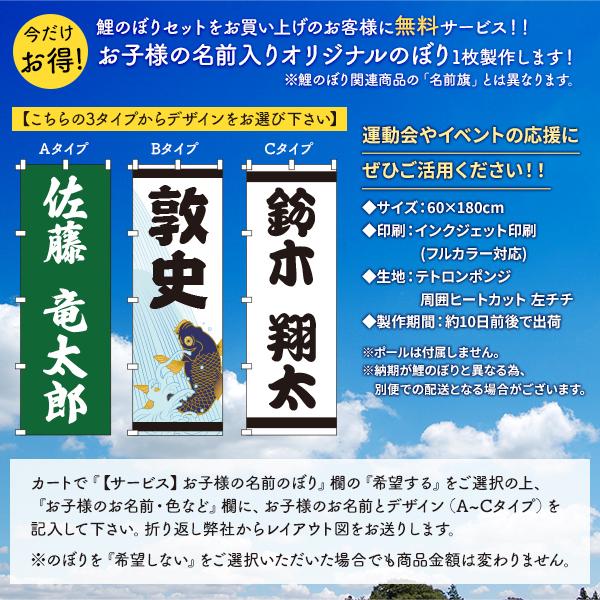 鯉のぼり フジサン鯉 庭用大型 手描 金吹雪鯉 3m 6点セット 吹流し名入れ代込 ポール付属しません こいのぼりセット 端午の節句 こどもの日