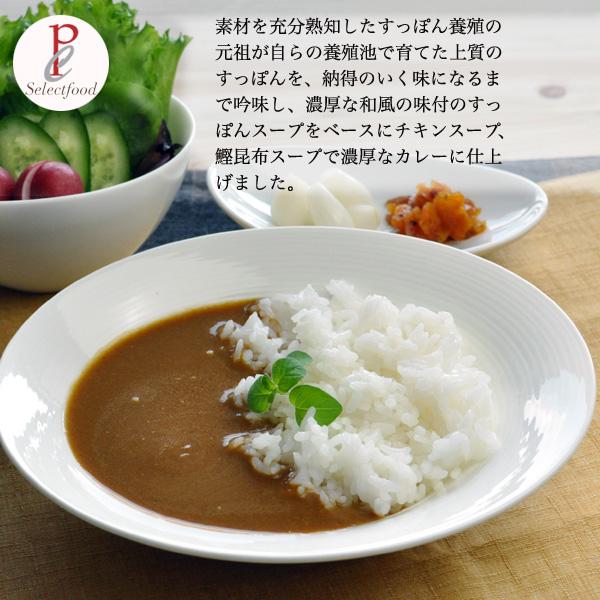 すっぽんスープカレー 30人前詰め合わせギフト 送料無料