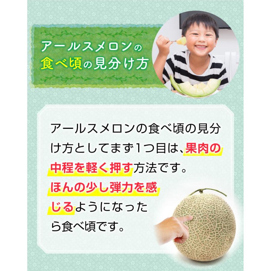 御中元 九州  メロン アールスメロン 秀品 ２L ２玉 熊本県産 温室 送料無料 高級メロン 産直 フルーツ 果物 甘い S常