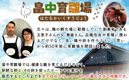 畠中育雛場のげんきタマゴん 80個 《30日以内に順次出荷(土日祝除く)》福岡県 鞍手郡 小竹町 卵 送料無料 有限会社畠中育雛場