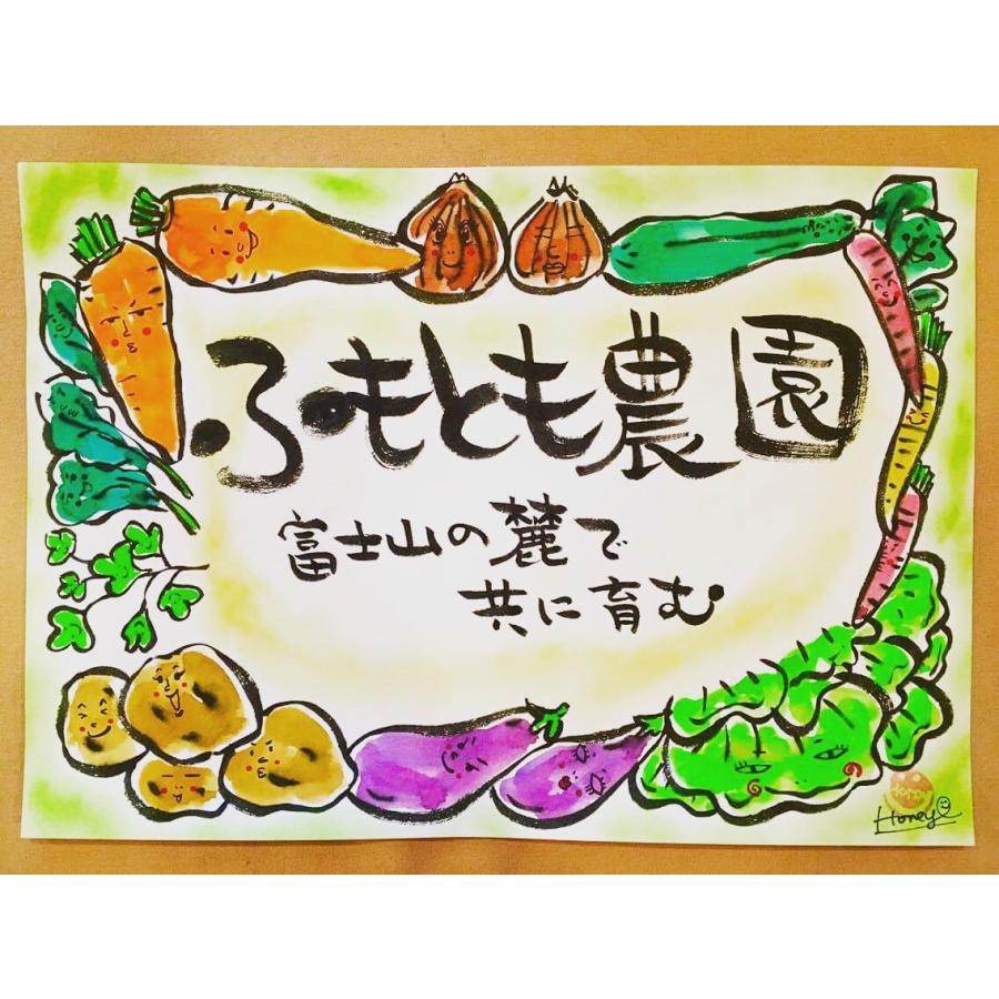 季節のふもとも野菜セットM(7〜8品)