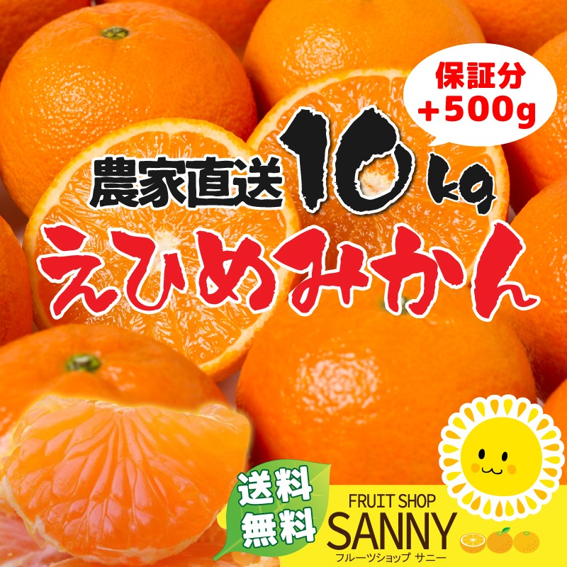 愛媛みかん10kg 保証分500g オレンジ色に色づいた中手（なかて）ミカンでのお届けとなります