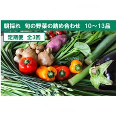 土佐野菜の旬の野菜詰め合わせ　10～13品目全3回