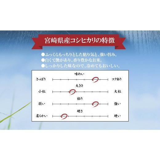 ふるさと納税 宮崎県 宮崎市 《毎月発送》定期便 宮崎産コシヒカリ10kg(5kg×2袋) ×3回 計30kg お届け月が選べます_M181-T008