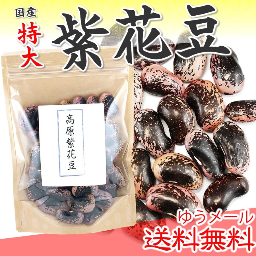 紫花豆特大 200g 高原花豆 大粒  国産 むらさきはなまめ 乾物豆類 乾燥豆 おせち料理などの煮豆 甘煮 甘納豆