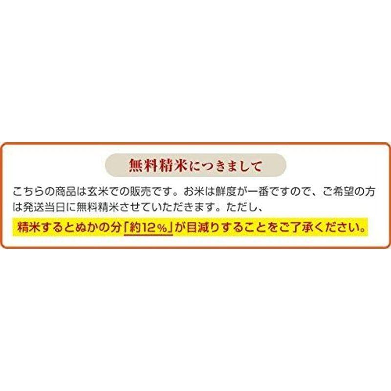 新米 令和5年産 コシヒカリ 千葉県産 選別済 玄米 30kg 10kg×3 Brown rice