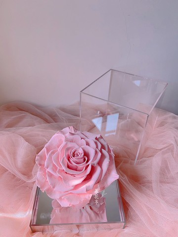 厄瓜多永生玫瑰/星座系列/雙魚座2023粉紅幸運色