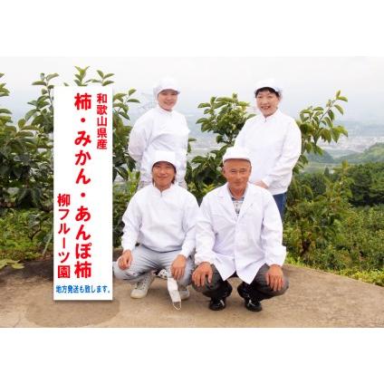 ふるさと納税 柳フルーツ園　みかんのドライフルーツ（８袋） 和歌山県橋本市