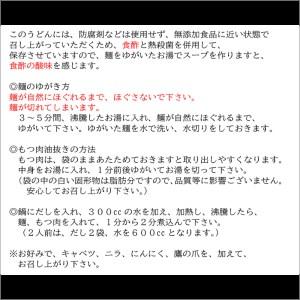 ふるさと納税 博多もつ鍋煮込みうどん(2人前×5箱) 福岡県飯塚市