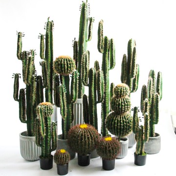 仿真量天尺仙人掌仙人柱假超大型落地熱帶沙漠綠植物落地盆栽裝飾