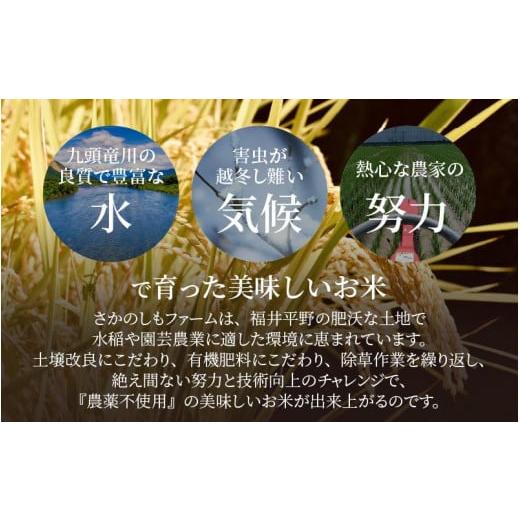 ふるさと納税 福井県 あわら市 令和5年産新米 ミルキークイーン 精米 5kg×2袋（計10kg） 特別栽培米 農薬不使用 化学肥料不使用 ／ 高品質 鮮度抜群 福井県産…