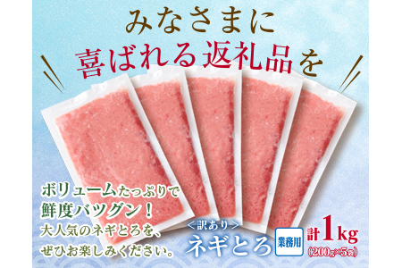 数量限定 訳あり 人気 ネギトロ 計1kg 魚 魚介 マグロ 国産 おかず まぐろ ねぎとろ アウトレット 送料無料_BB101-23