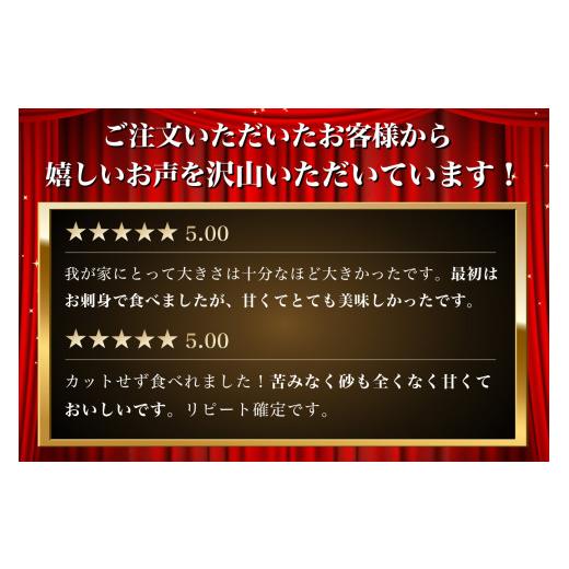 ふるさと納税 北海道 厚岸町 北海道 訳あり 冷凍 帆立 貝柱 1.3kg (各回1.3kg×3ヶ月分,合計約3.9kg)…