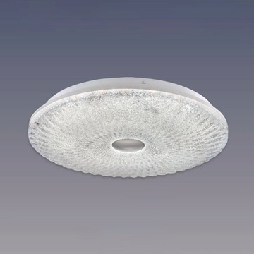 45W三色變光吸頂燈 B102-81-24912