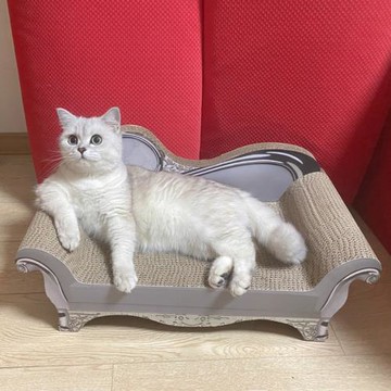 貓抓板窩瓦楞紙貴妃榻磨爪器耐磨貓沙發床防貓抓寵物貓窩貓咪玩具