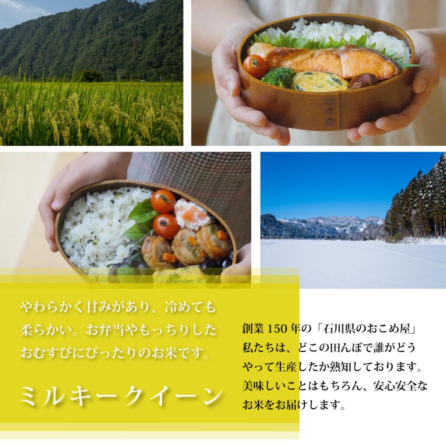 玄米 ミルキークイーン 5kg 石川県産 5キロ 令和5年産 新米