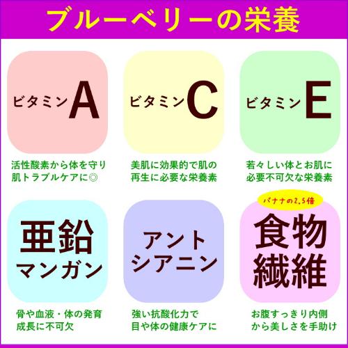 ブルーベリー 600g ドライフルーツ 江戸屋 ダイエット食品 健康