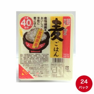 パックご飯180g×24パック 送料無料 レトルト食品 保存食 防災グッズ