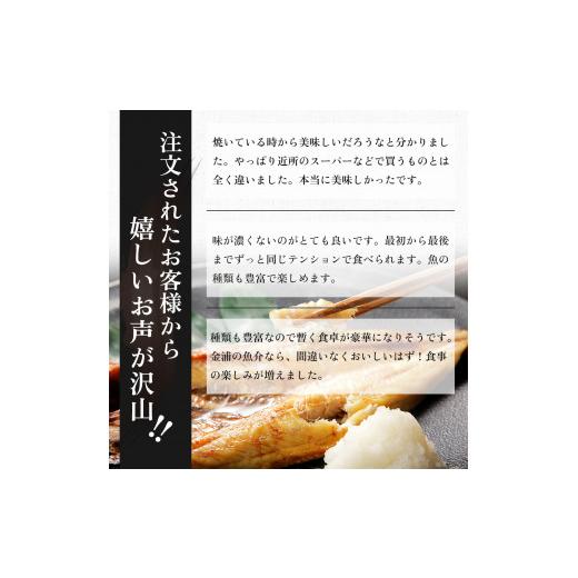 ふるさと納税 秋田県 にかほ市 《定期便》2ヶ月ごとに4回 干物セット 13品程度(7種類程度)「秋田のうまいものセットB」(隔月)