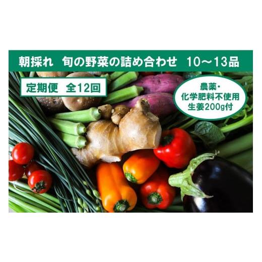 ふるさと納税 高知県 香美市 農薬不使用の生姜200gと旬の野菜詰め合わせ10〜13品目