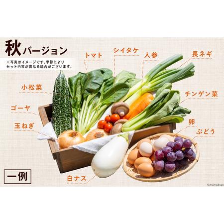 ふるさと納税 AA025野菜・フルーツ・卵　旬のお任せ　Aセット 長崎県島原市