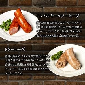 ふるさと納税 ソーセージ 山盛り セット 8種 シャルキュトゥリ・コイデ ウィンナー ウインナー ハム 肉 お肉 豚 サラミ 食べ比べ 愛知県日進市