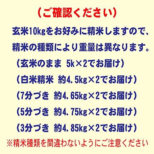 新米 令和5年産 農薬不使用米 滋賀県産 コシヒカリ 10kg (5kg×2) 無農薬 無化学肥料栽培米 (白米精米（精米後約4.5kg×2）)