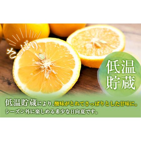 ふるさと納税 ≪数量限定≫宮浦産蔵出し日向夏(計2.5kg以上)　フルーツ　果物　柑橘　みかん　国産 BA53-23 宮崎県日南市